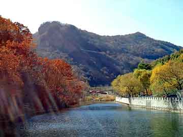 新澳天天开好彩大全，鸽子养殖前景